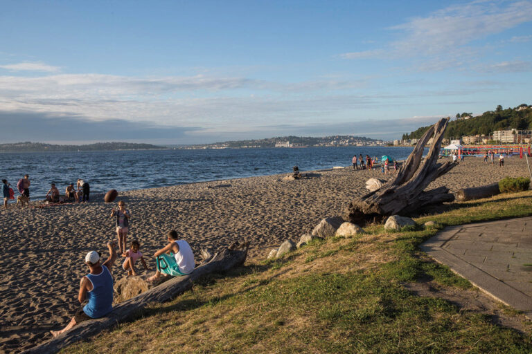 People sitting on a sand beach with driftwood structures