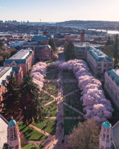 An aerial view overlooking a courtyard filled with pink cherry trees and green grass with surrounding brick buildings and skyline in the background.