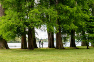 A photo of Green Lake Park. Two people are walking behind a row of evergreeen trees. The lake can be seen in the background.