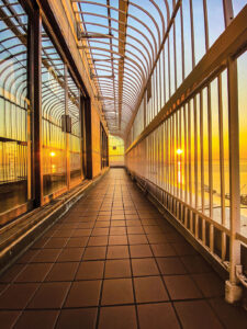 Sunset seen through the railings of an observation deck at the top of a skyscraper