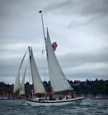 Day Sail - Seattle Harbor Tour